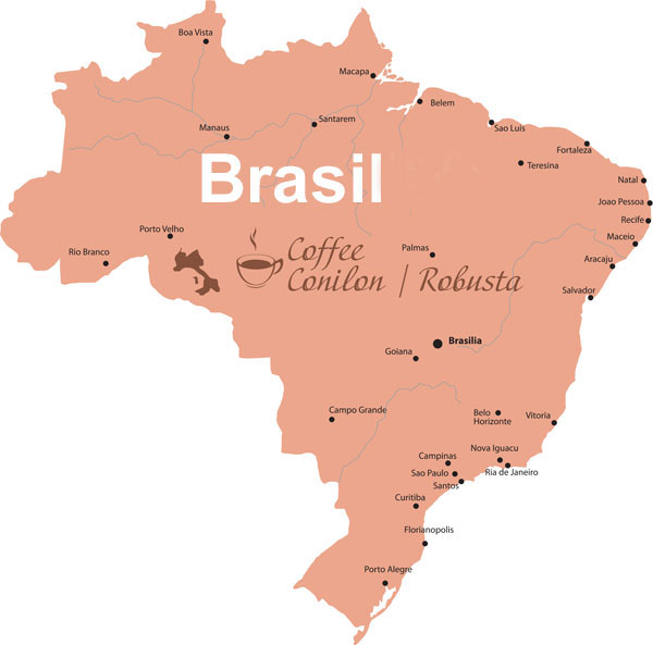 brazil-coffee-robusta